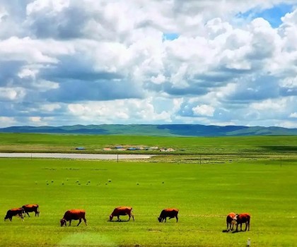 艱苦卓絕，奮楫篤行! 2025唐姆渠道事業部年中營銷峰會圓滿舉行