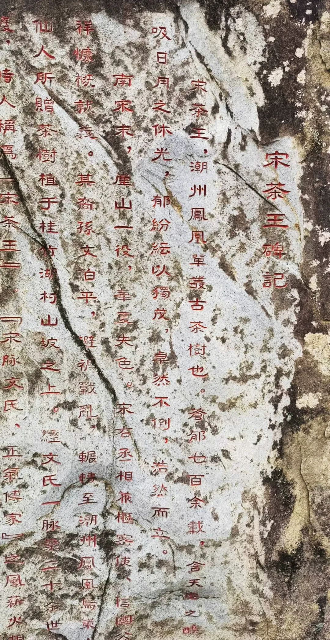 1668581939254542.jpg 5.jpg