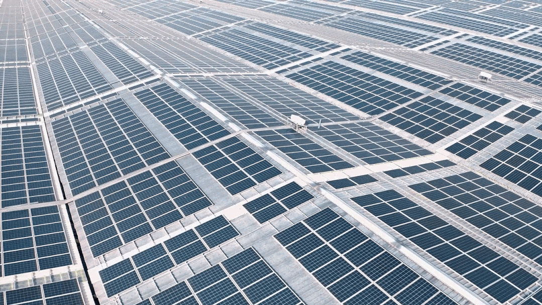 1671765969474008.png wps_doc_16.png