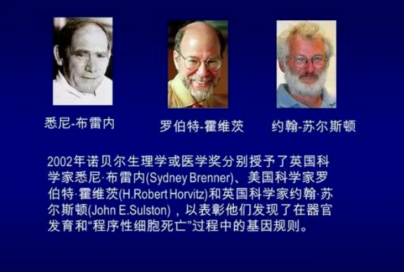 1672305891918650.png 負氧離子竟然能預防新冠病毒來聽專家解讀3.png