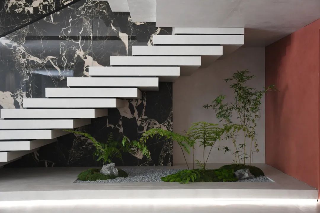 1689730263617794.jpg 6.jpg