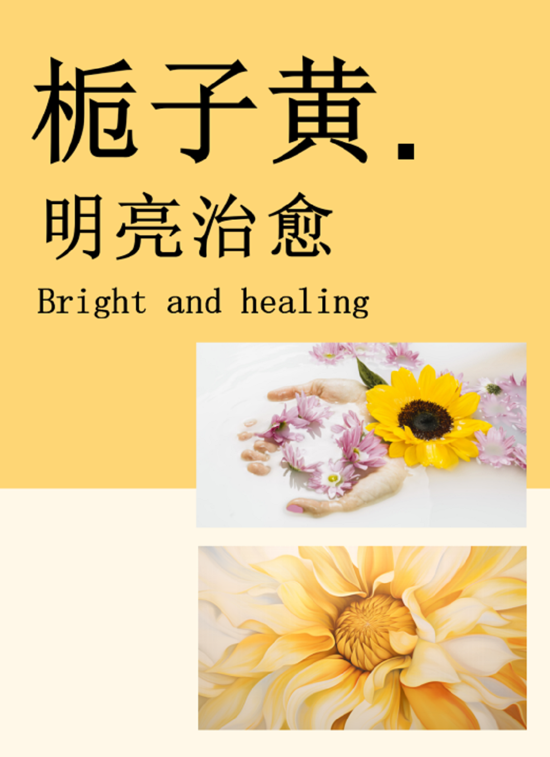 1690944668598646.png 圖片5.png