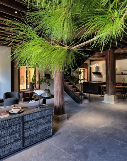 1699943295101716.png image.png