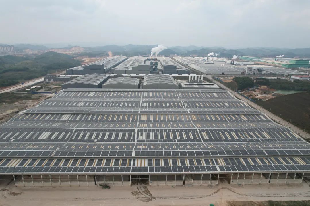 1712043594952550.jpg 6.jpg