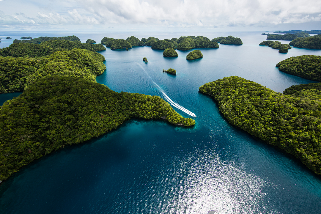 1716169316541846.png 圖片1新.png