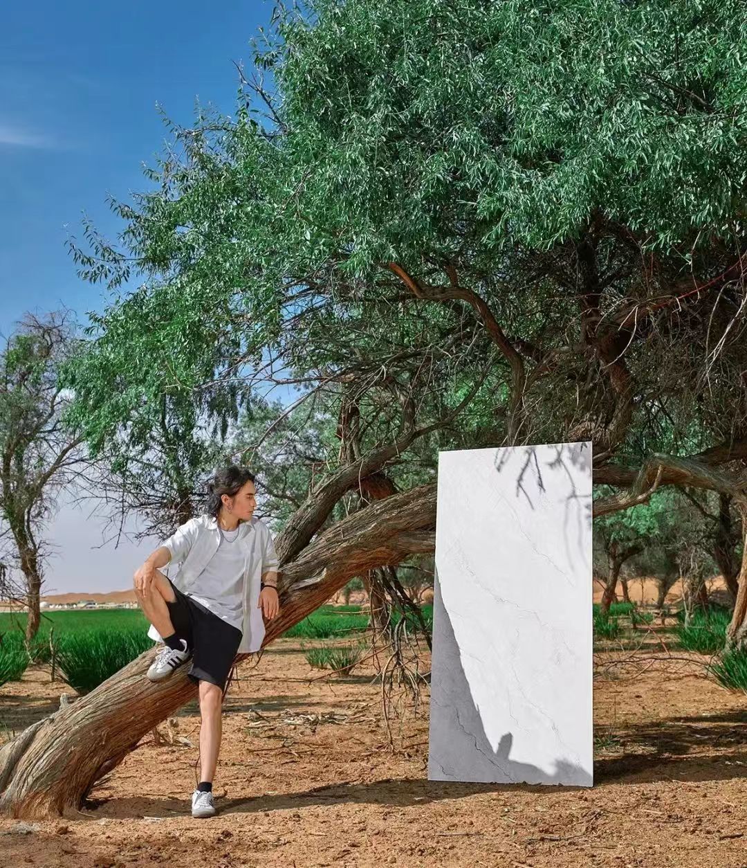 1720754172366017.jpg 6.jpg