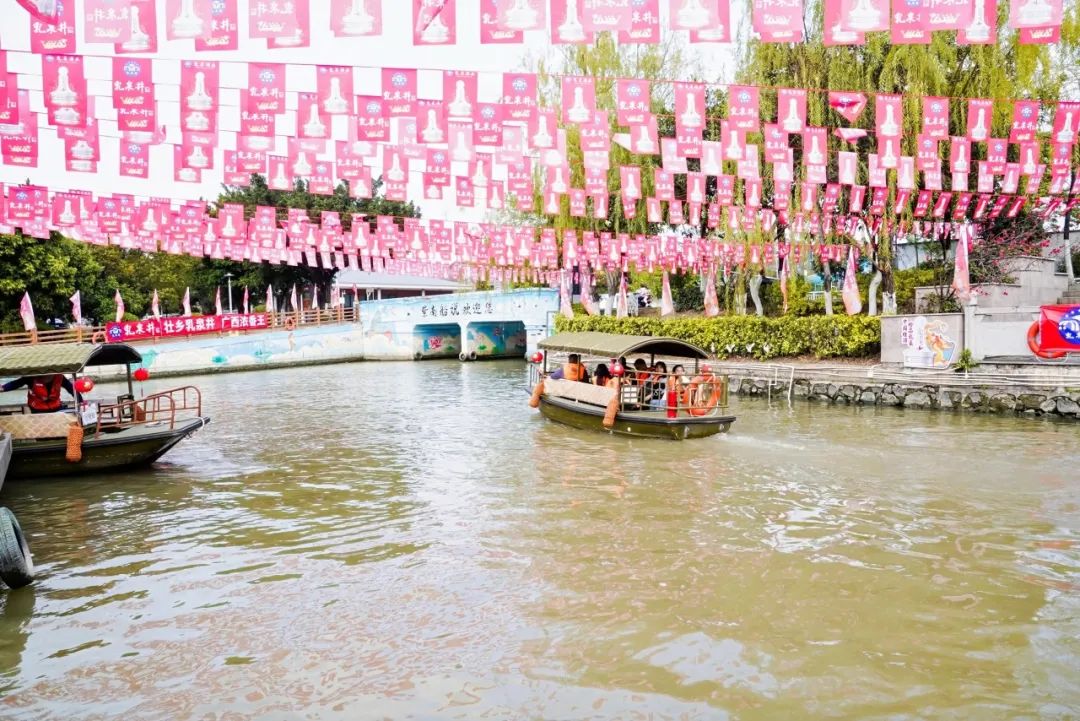 1740804576529380.jpg 7.jpg