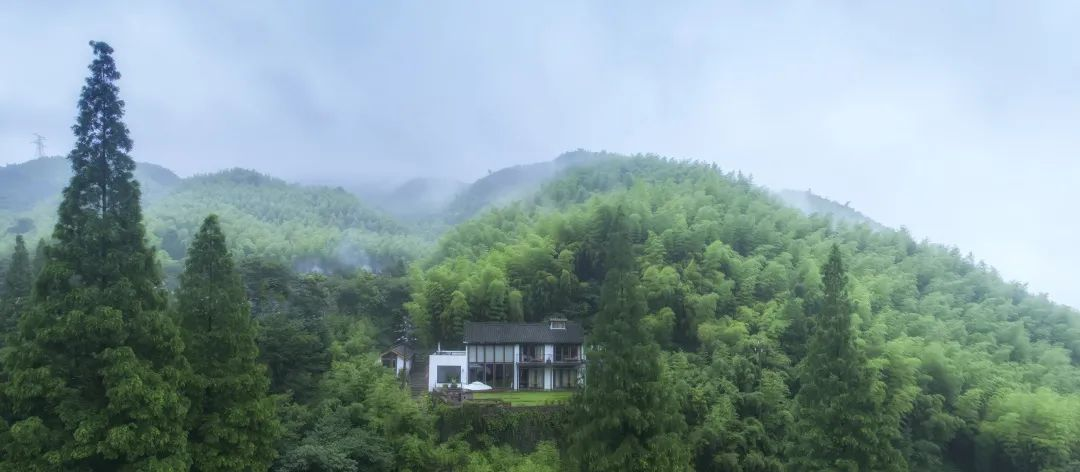 1743039471747604.png 圖片 4.png