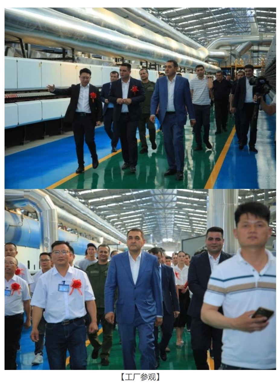 1756951184187261.png ed6fb520-1470-4698-ae25-8d1b1b99809b.png